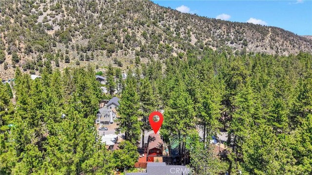 1381 Laura St, Wrightwood, CA 92397 - photo 50
