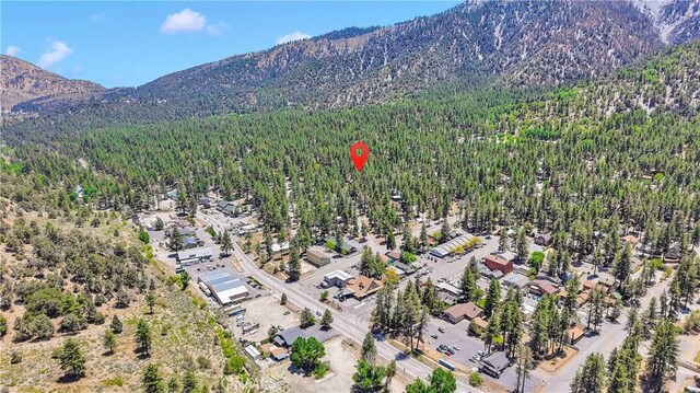 1381 Laura St, Wrightwood, CA 92397 - photo 55