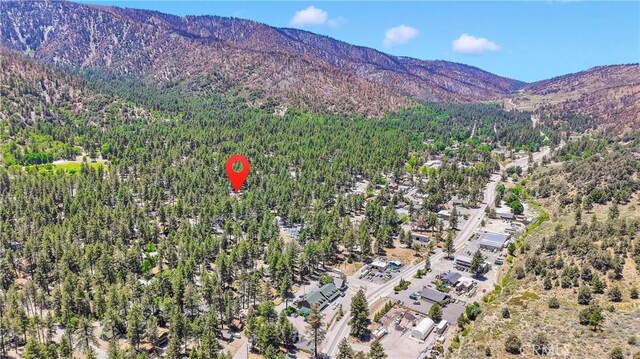 1381 Laura St, Wrightwood, CA 92397 - photo 56
