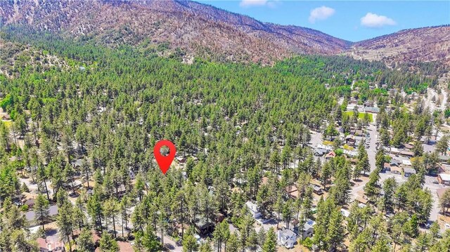1381 Laura St, Wrightwood, CA 92397 - photo 53