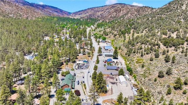1381 Laura St, Wrightwood, CA 92397 - photo 59