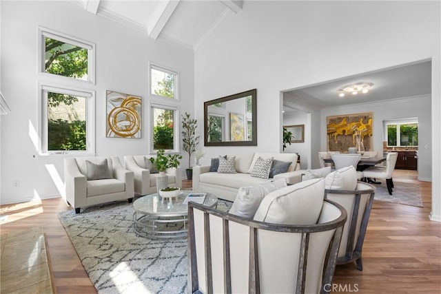 4408 Dulcinea Ct, Woodland Hills, CA 91364 - photo 9