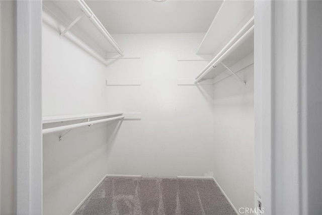 4057 Via Encinas, Cypress, CA 90630 - spacious closet with carpet floors