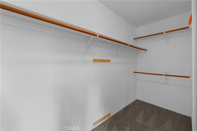 1641 Via Tulipan, San Clemente, CA 92673 - walk in closet with dark carpet