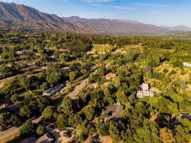 493 Montana Cir, Ojai, CA 93023 - photo 63