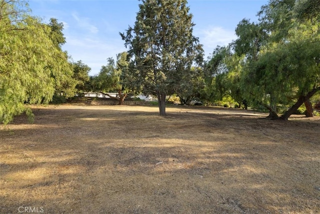 493 Montana Cir, Ojai, CA 93023 - photo 3