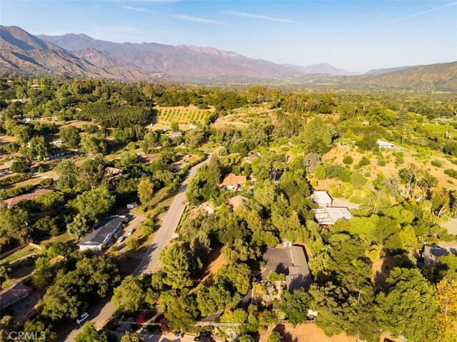 493 Montana Cir, Ojai, CA 93023 - photo 62