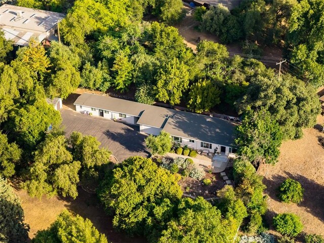 493 Montana Cir, Ojai, CA 93023 - photo 65