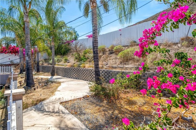 29582 Toomas Cir, Menifee, CA 92587 - view of yard