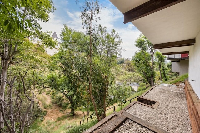 3102 Durand Dr, Los Angeles, CA 90068 - view of yard