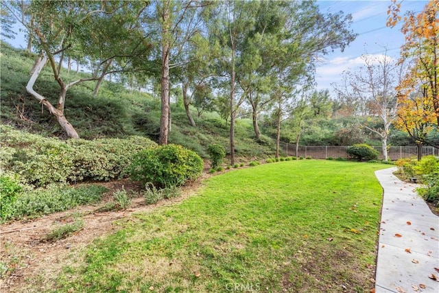 23411 Abbey Glen Pl Unit 41, Valencia, CA 91354 - view of yard