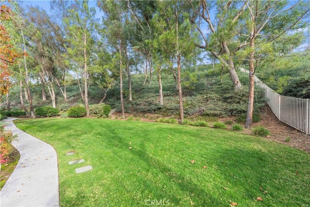 23411 Abbey Glen Pl Unit 41, Valencia, CA 91354 - view of yard