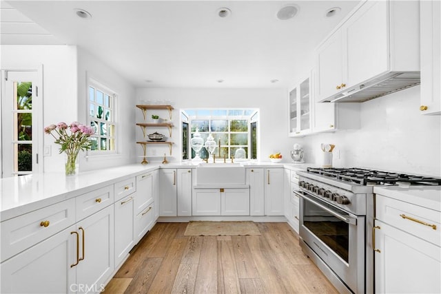 31847 8th Ave, Laguna Beach, CA 92651 - kitchen featuring high end stove, a sink, white cabinets, open shelves, and recessed lighting