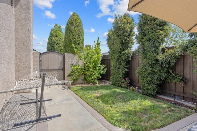 27702 Quincy St, Castaic, CA 91384 - view of yard with a gate and a patio area