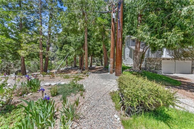 41560 Alder Dr, Forest Falls, CA 92339 - photo 43