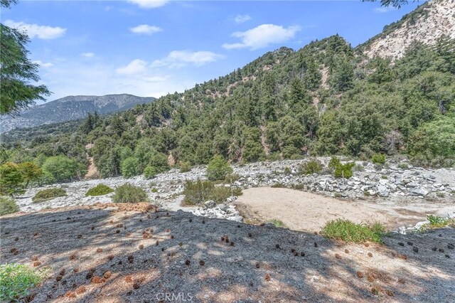 41560 Alder Dr, Forest Falls, CA 92339 - photo 47