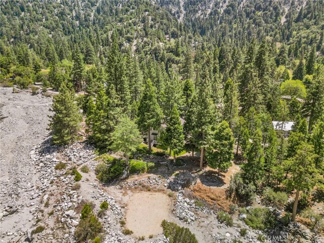 41560 Alder Dr, Forest Falls, CA 92339 - photo 12