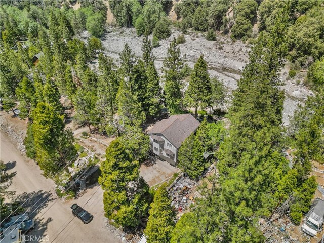 41560 Alder Dr, Forest Falls, CA 92339 - photo 10