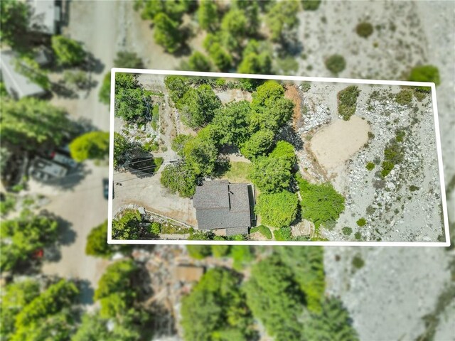 41560 Alder Dr, Forest Falls, CA 92339 - photo 59