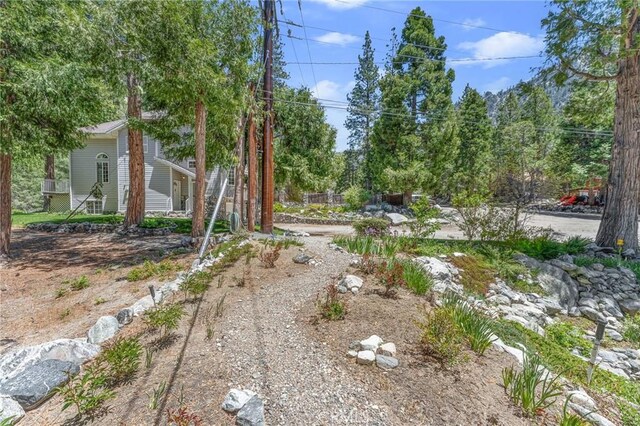 41560 Alder Dr, Forest Falls, CA 92339 - photo 44