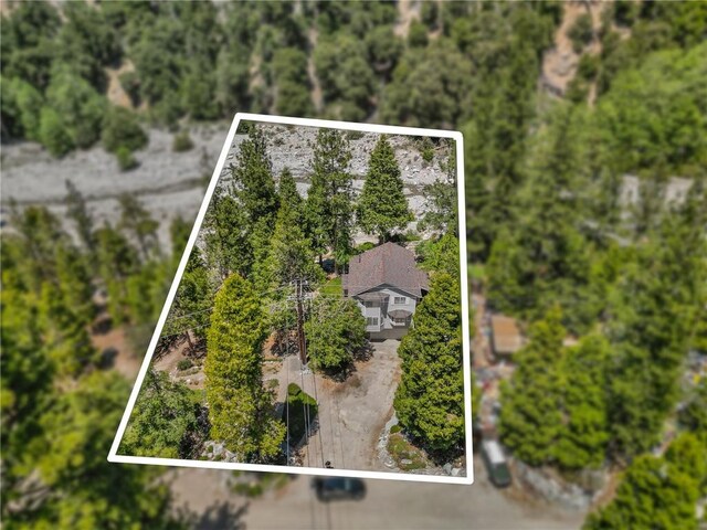 41560 Alder Dr, Forest Falls, CA 92339 - photo 60