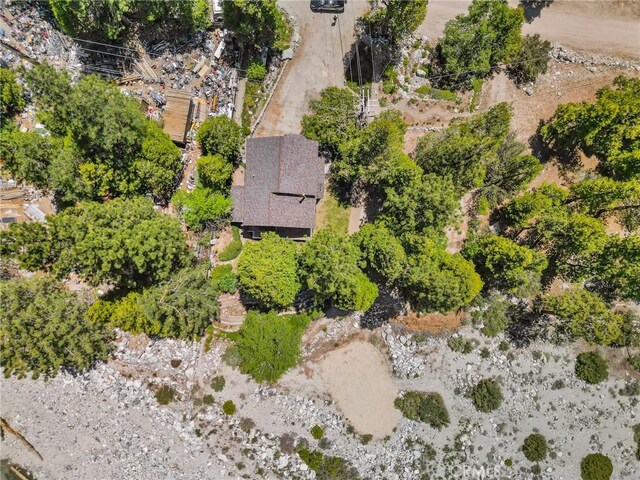 41560 Alder Dr, Forest Falls, CA 92339 - photo 11
