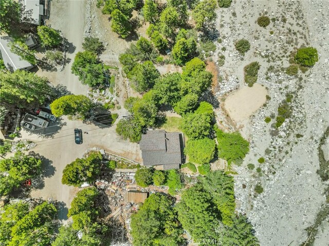 41560 Alder Dr, Forest Falls, CA 92339 - photo 65