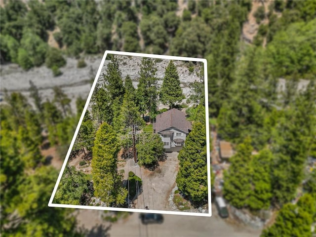 41560 Alder Dr, Forest Falls, CA 92339 - photo 68