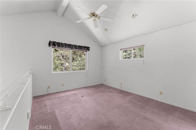 41560 Alder Dr, Forest Falls, CA 92339 - photo 33