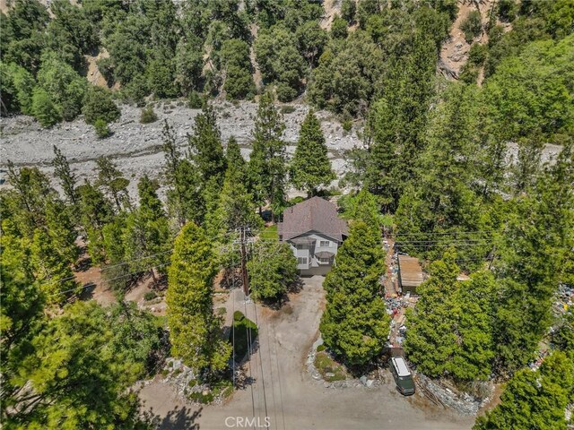 41560 Alder Dr, Forest Falls, CA 92339 - photo 67
