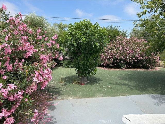 28711 Del Monte Dr, Menifee, CA 92586 - view of yard