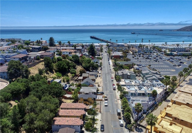 264 San Miguel St, Avila Beach, CA 93424 - photo 42