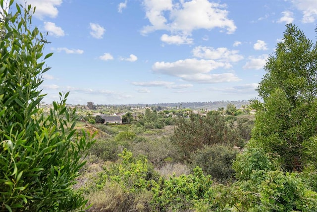 2745 La Gran Via, Carlsbad, CA 92009 - view of undeveloped land