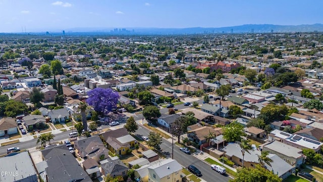 3834 S Van Ness Ave, Los Angeles, CA 90062 - photo 44