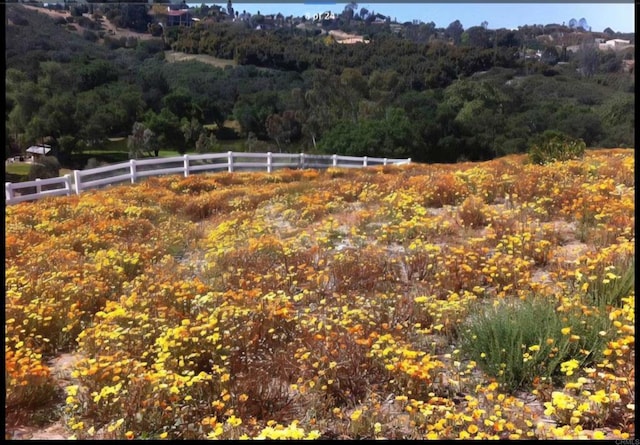1010 Willowcreek Ln, Fallbrook, CA 92028 - view of mountain background featuring a forest