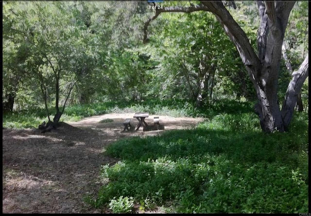 1010 Willowcreek Ln, Fallbrook, CA 92028 - view of wooded area