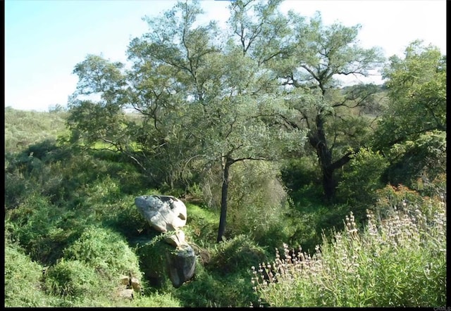 1010 Willowcreek Ln, Fallbrook, CA 92028 - view of wooded area