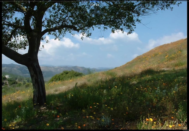 1010 Willowcreek Ln, Fallbrook, CA 92028 - view of mountain backdrop