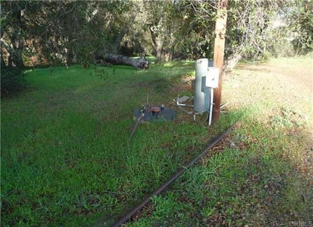 1010 Willowcreek Ln, Fallbrook, CA 92028 - view of grassy yard