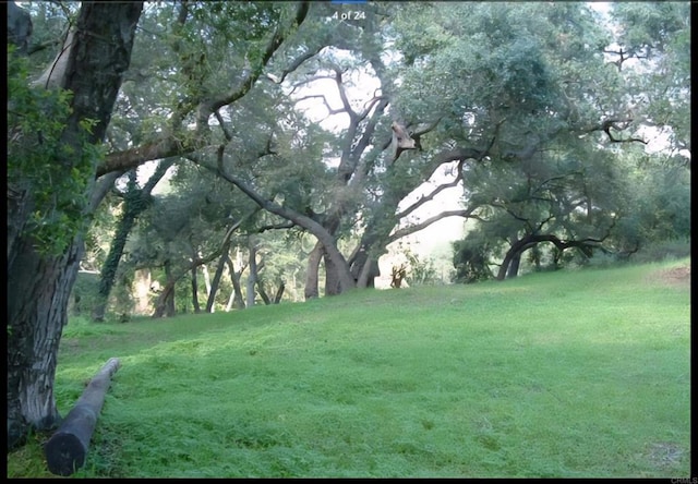 1010 Willowcreek Ln, Fallbrook, CA 92028 - view of grassy yard