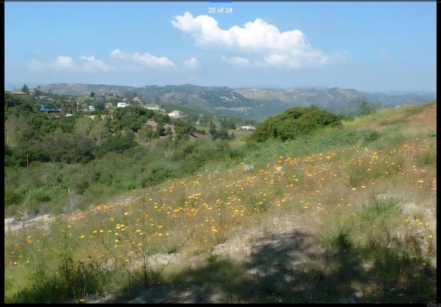 1010 Willowcreek Ln, Fallbrook, CA 92028 - mountain view