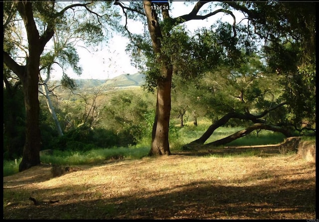 1010 Willowcreek Ln, Fallbrook, CA 92028 - view of undeveloped land