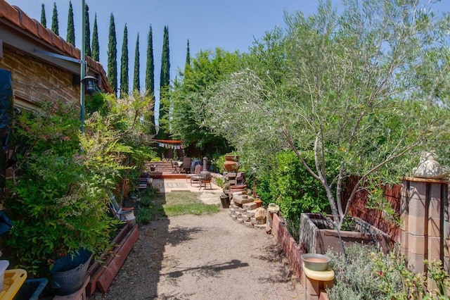3314 Via Altamira, Fallbrook, CA 92028 - view of yard featuring a patio and a garden