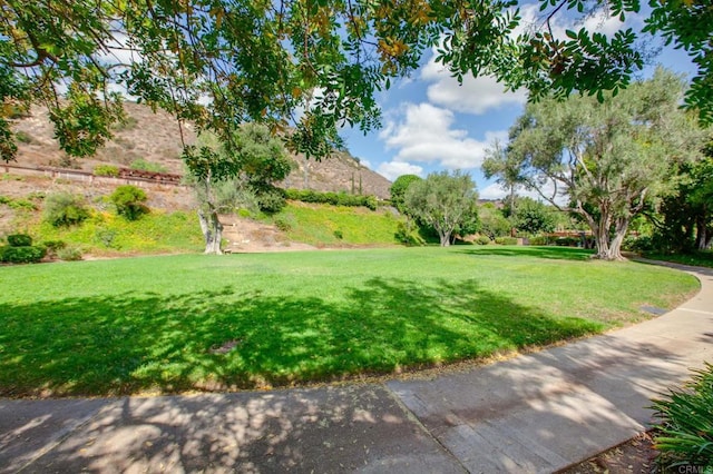 3314 Via Altamira, Fallbrook, CA 92028 - view of grassy yard