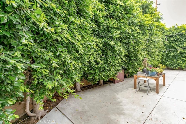 7129 Forbes Ave, Van Nuys, CA 91406 - view of patio / terrace