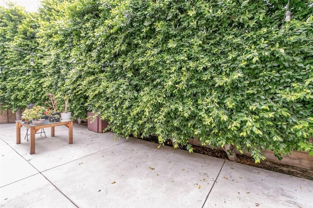 7129 Forbes Ave, Van Nuys, CA 91406 - view of patio / terrace