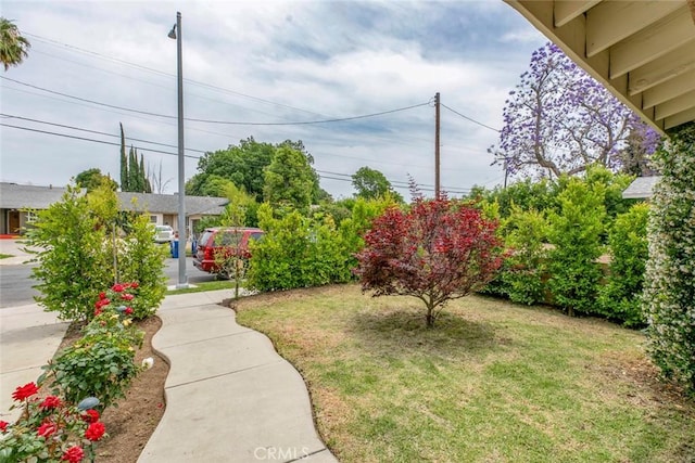 7129 Forbes Ave, Van Nuys, CA 91406 - view of green lawn