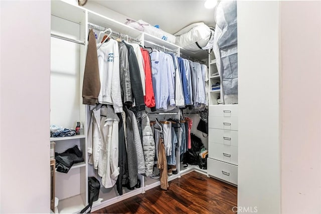 7129 Forbes Ave, Van Nuys, CA 91406 - walk in closet with wood finished floors
