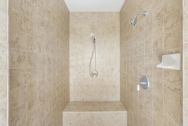 14220 Green Valley Ct, Scripps Miramar, CA 92131 - bathroom with a tile shower