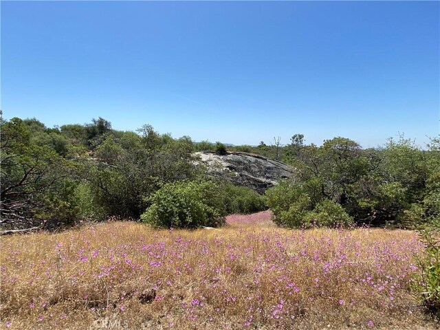 038.31AC Flying O Ranch Rd, Coarsegold, CA 93614 - photo 13